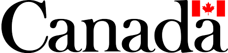 Java programming bootcamp Toronto